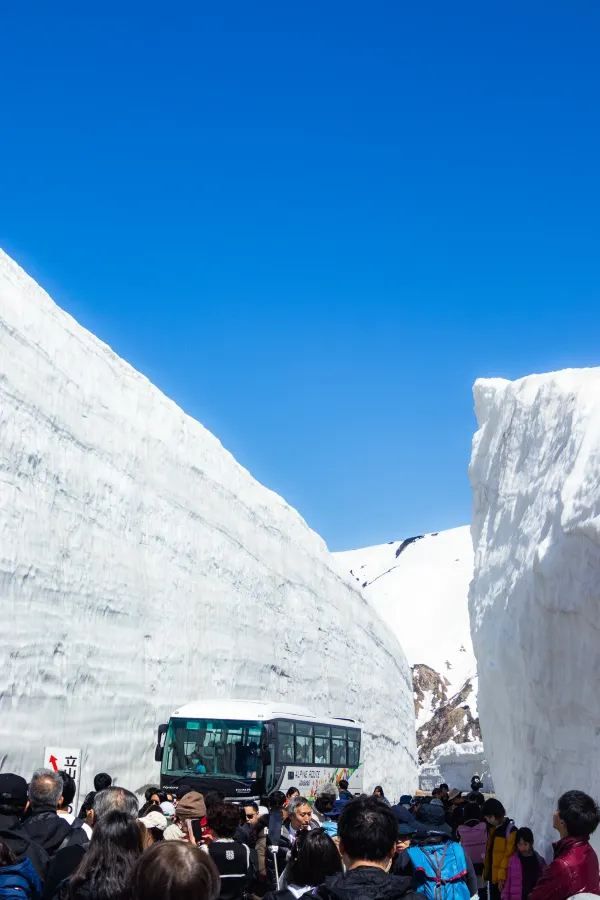 立山黑部雪牆：壯觀的自然奇景