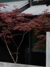 明月松間｜松間棲心處，江南水墨詞