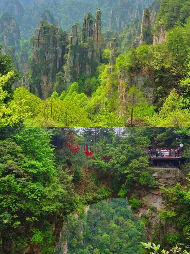 帶上這份攻略，開啟一場「阿凡達」式的奇幻之旅吧！