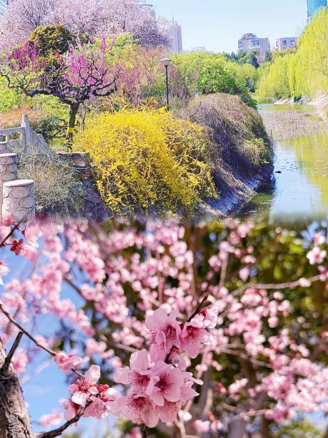 鄭州城市中的桃花源