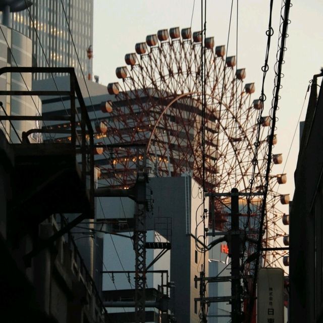 坐在中之島公園聽到魚躍出水面的聲音