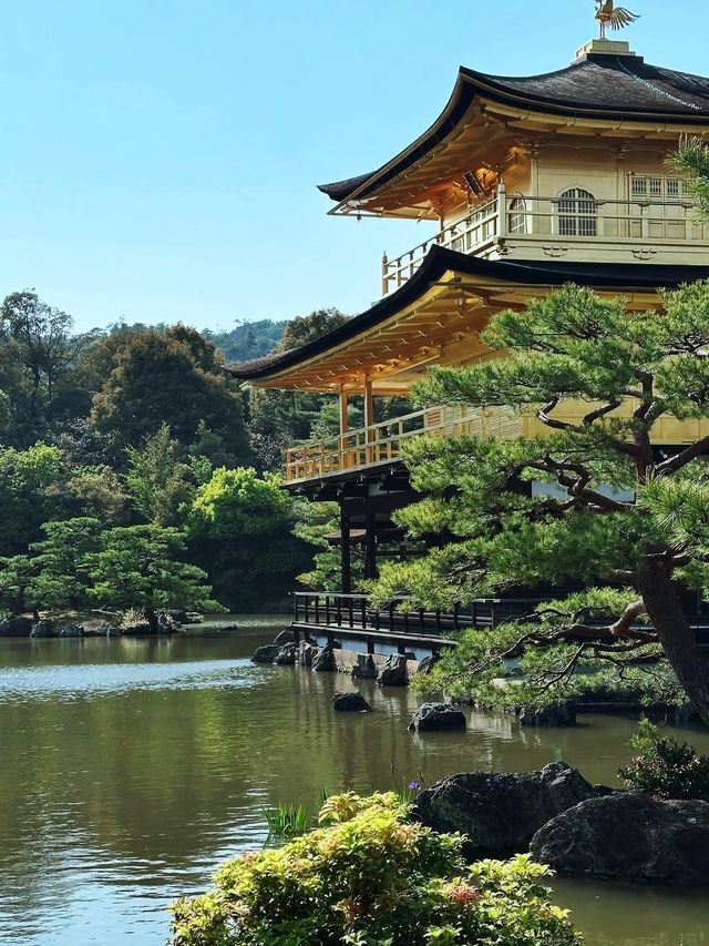 京都＆宇治雙城記，世界文化遺產之旅