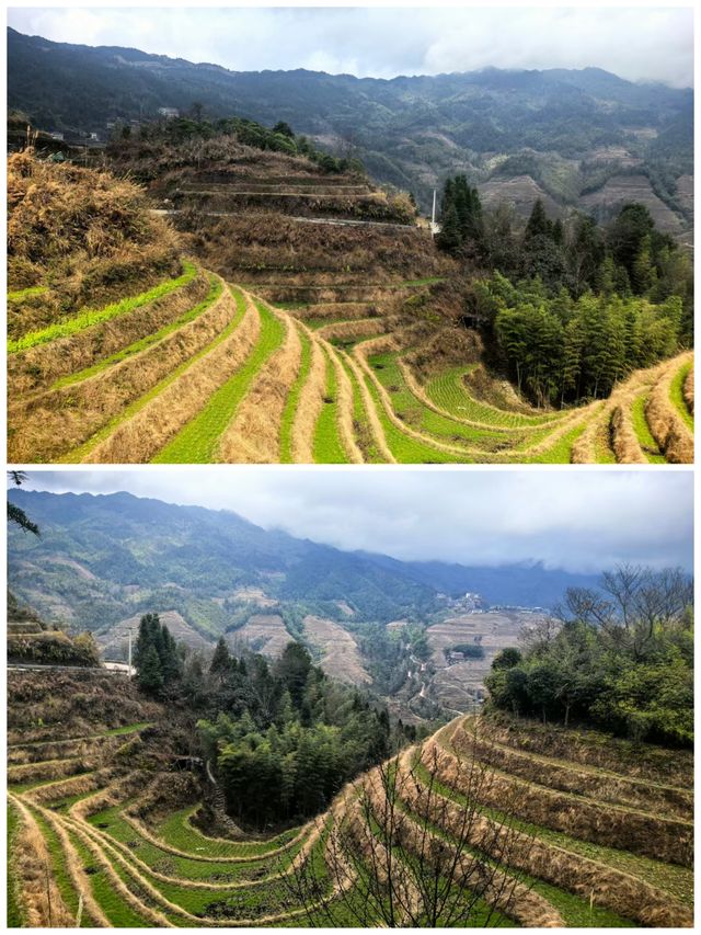 桂之旅丨龍勝龍脊梯田a
