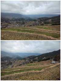 桂之旅丨龍勝龍脊梯田a