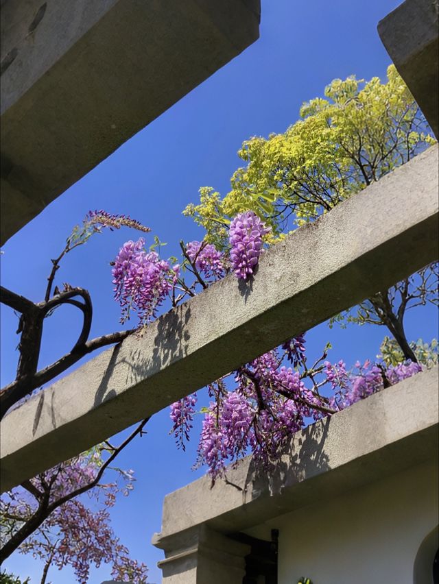 江南春色，一眼千年