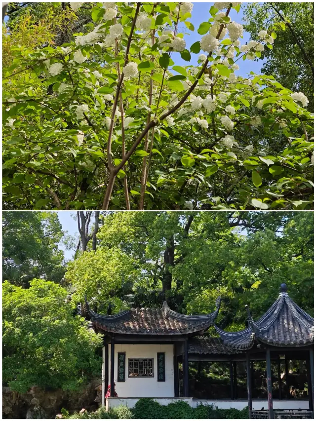 A Guide to Wuxi After Visiting 5 Times