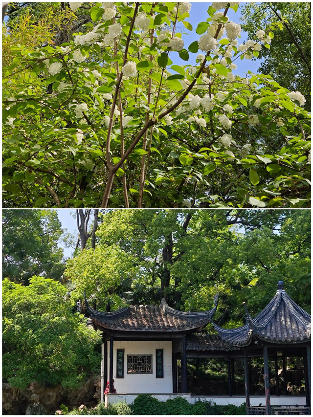 去了5次無錫，整理出來的攻略