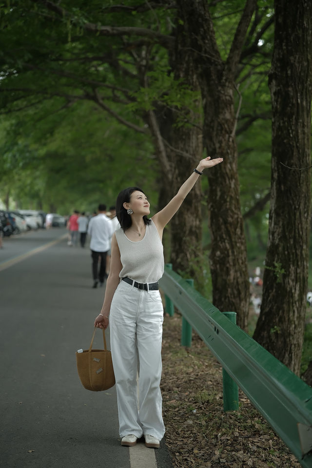 南京自駕2h｜我找到了現實版的綠野仙蹤
