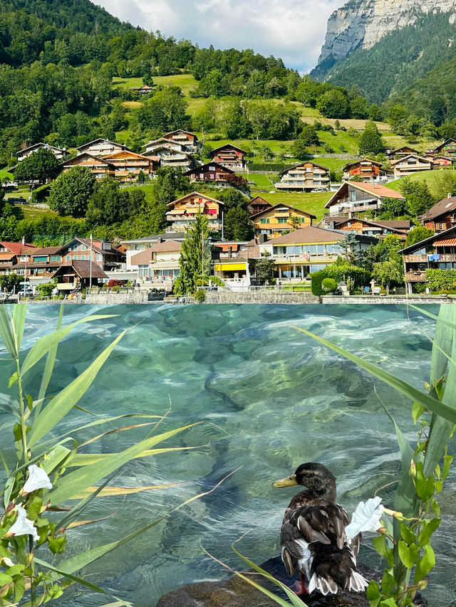 瑞士 | 邂逅人間仙境，解鎖阿爾卑斯的終極浪漫！