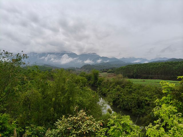 十萬大山國家森林公園