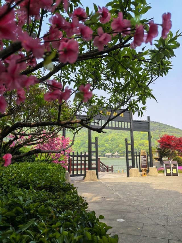 桃花影落，碧海潮生
