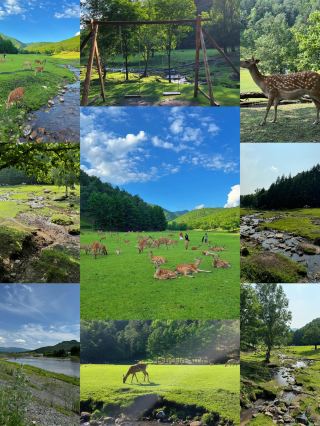 Yichun: A place that needs no filter