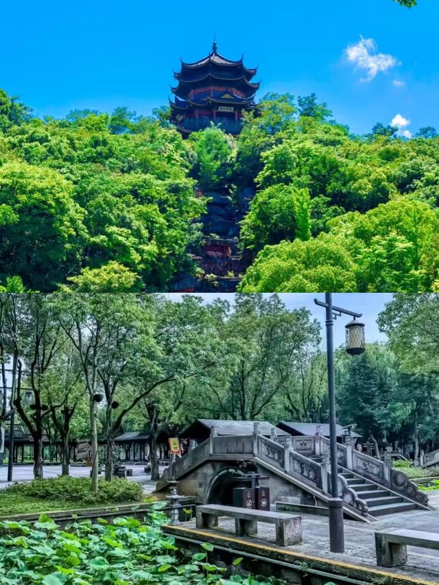 啱啱從諸暨返嚟，一個唔想返嚟嘅地方。
