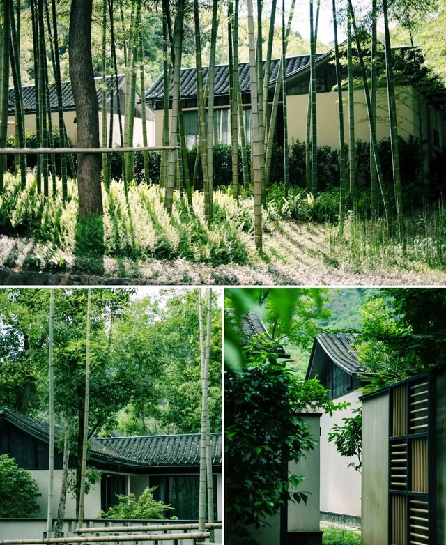 乘船入畫，杭州最出鏡嘅隱世酒店富春方外