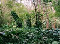 Kunming Botanical Garden: A Botanical Paradise in Southwest China