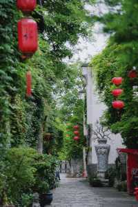南京老門東｜清晨6點，凌霄花盛開的雨巷
