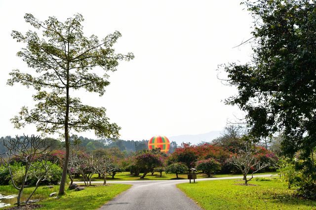 西雙版納熱帶植物園：熱帶植物王國