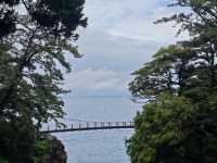 🇯🇵伊豆城崎海岸真係靚到癲啊🌊 
