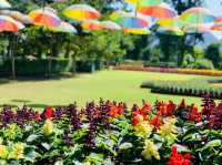 *🌿🦚 Green Jungle Park - สวนสวรรค์ธรรมชาติ🌠