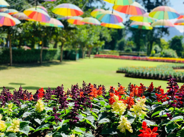 *🌿🦚 Green Jungle Park - สวนสวรรค์ธรรมชาติ🌠