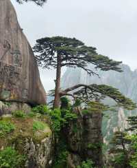 避暑寶山之安徽黃山