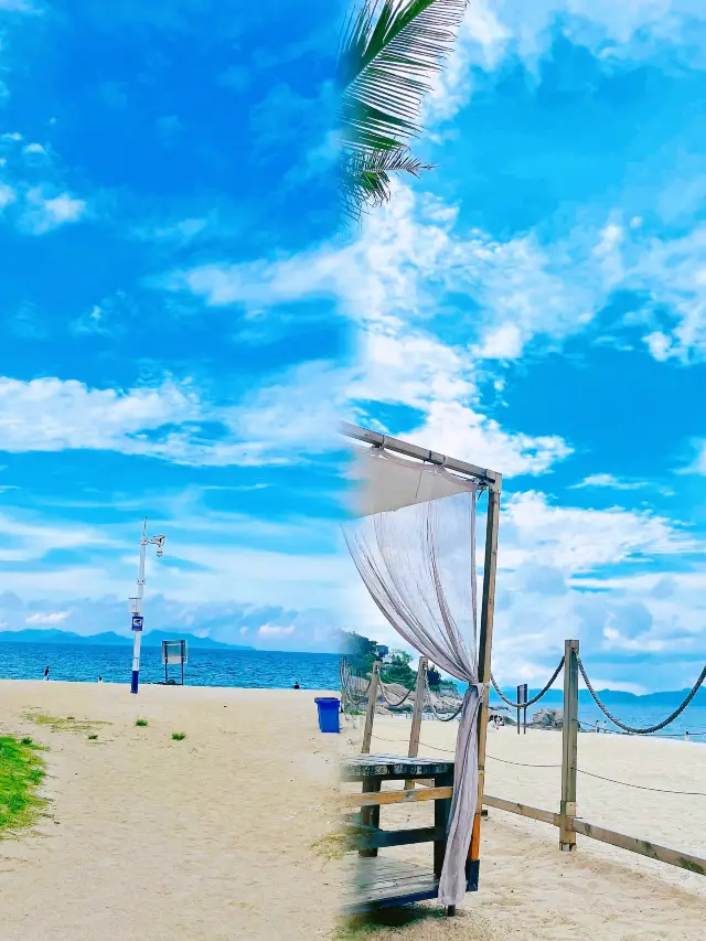 Escape to Shenzhen's Rose Coast