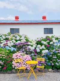 六月嘅濟州賞花，闖入繡球花海嘅莫奈花園