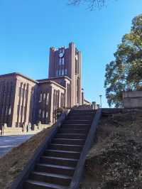 冬日校園：落光葉嘅樹同消失嘅落葉