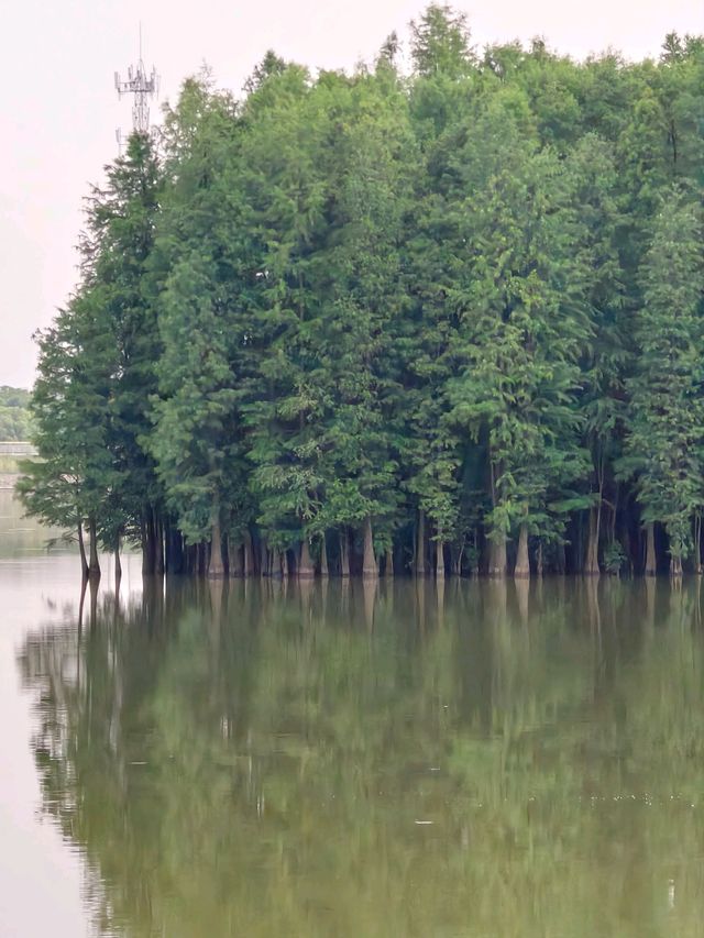 Some places are too peaceful to be famous: Discover a Hidden Gem 40 min from Yiwu