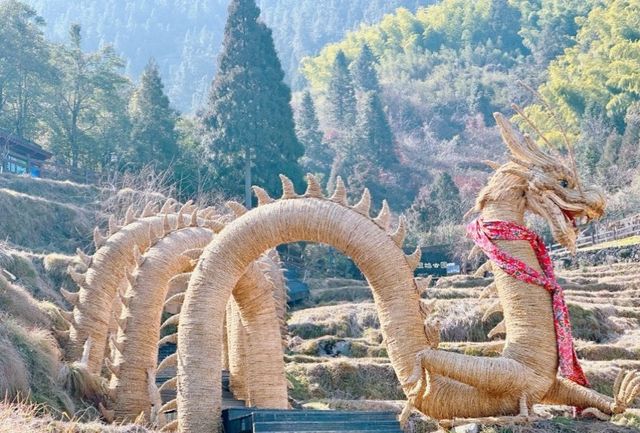 雲和梯田旅遊攻略