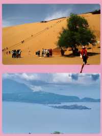 7 - 8 月消暑大作战！八大魅力景點，帶你解鎖夏日歡樂密碼