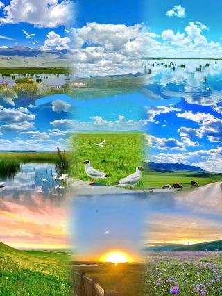 Zoigê｜Sichuan Has Its Own "Altay" Just 2 Hours by High-Speed Rail!
