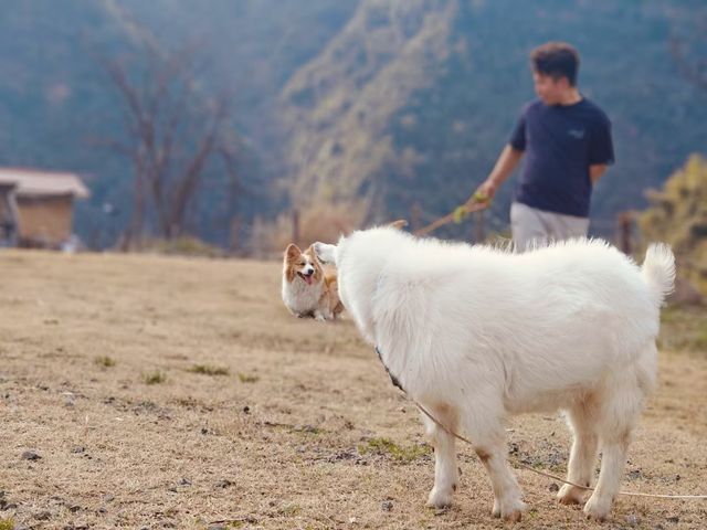 51Camp富陽山水營地 | 江浙滬逃離計劃