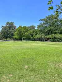 放工後帶小朋友去碧沙崗公園散步最適合