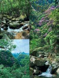 陝西媽咪快收藏！6-8月帶仔玩轉4個「天然水上樂園」，消暑戲水兩不誤