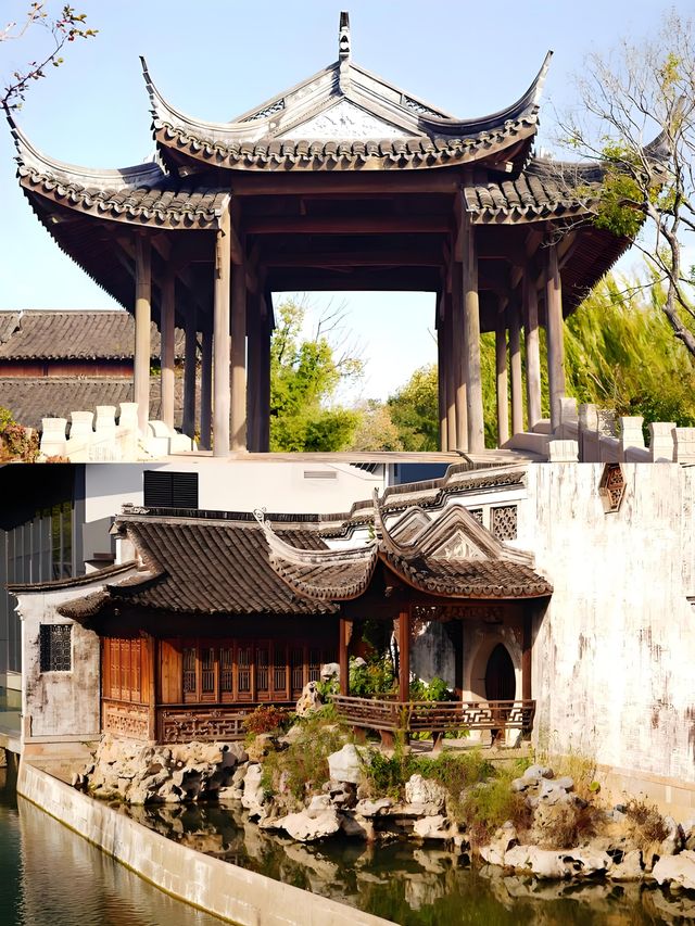 賞荷、拍照、品嚐美食，夏日浪漫之旅