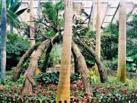 Wuhan Botanic Garden: Where Science, Conservation, and Botanical Splendor Converge