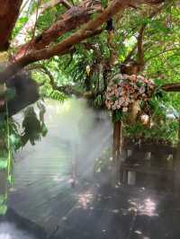 🇹🇭曼谷市區必衝！走進「愛麗絲仙境」森林咖啡館🌴