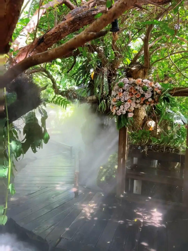 🇹🇭曼谷市區必衝！走進「愛麗絲仙境」森林咖啡館🌴