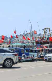 瓊海·潭門跨越時空，邂逅千年漁港之美  
瓊海潭門鎮，與博鰲一水相鄰，最著名的莫過於這裡剛捕撈上岸