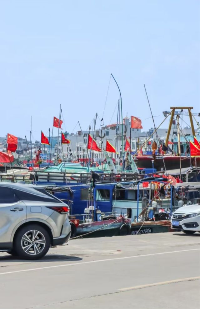 瓊海·潭門跨越時空，邂逅千年漁港之美  
瓊海潭門鎮，與博鰲一水相鄰，最著名的莫過於這裡剛捕撈上岸