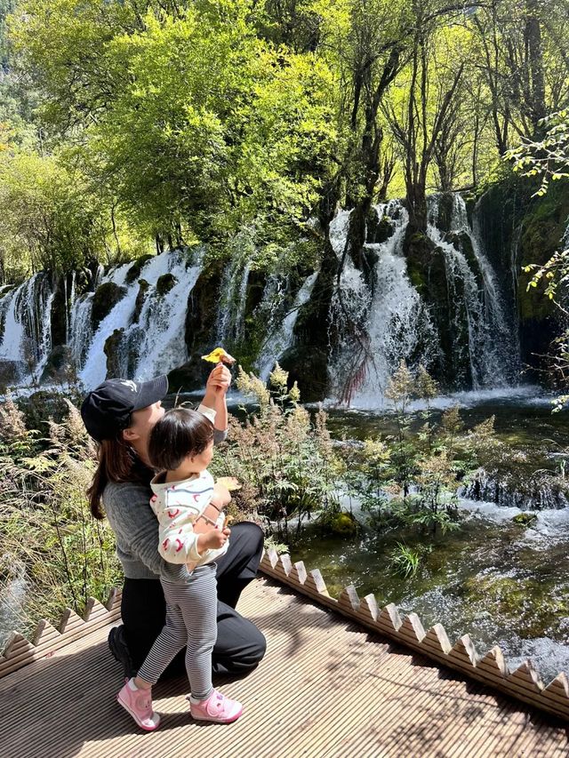 成都周邊帶兩歲寶寶遊九寨溝最強攻略