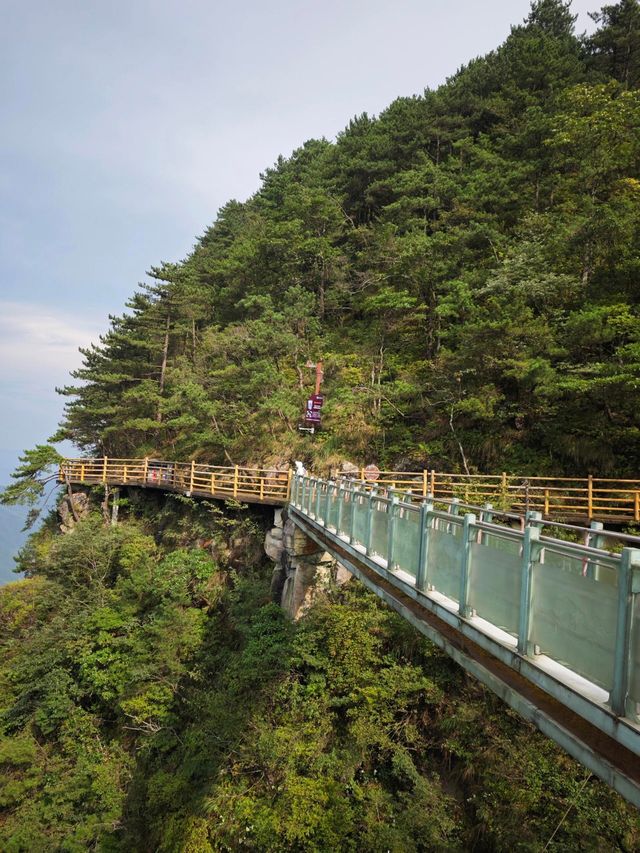 宜春明月山｜硒泉煮月溫禪骨 雲梯漫步叩天扉