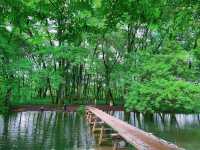 徽州嘅夏天，夜晚特別養眼