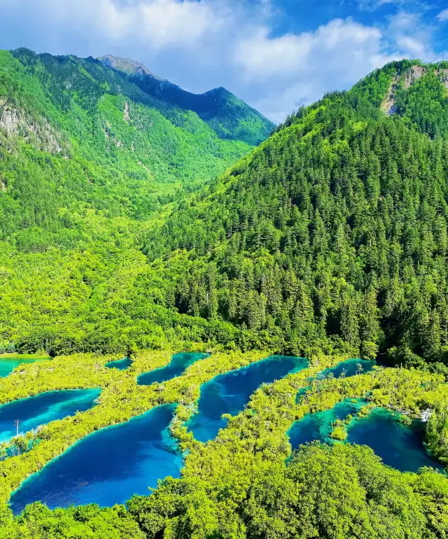 【500 Words That Will Shatter Your Perception! The Real Jiuzhaigou is Crazier Than You Imagine】