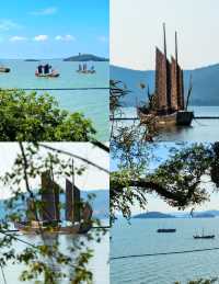 黿頭渚夏日清涼暴擊