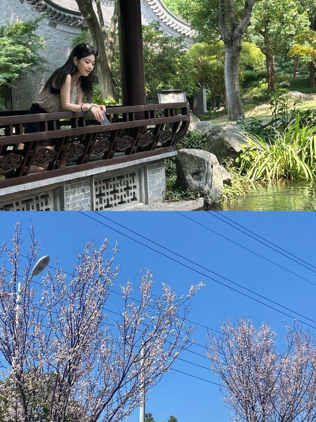 朋友圈問到爆！唔喺國外，喺揚州