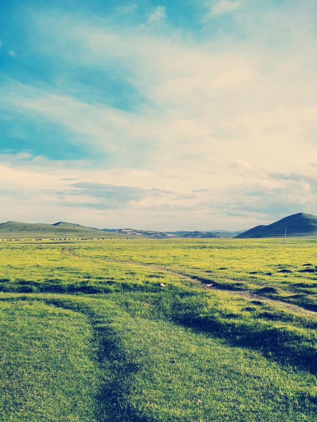 絶景と文化が詰まった！甘南草原の旅ガイド】​