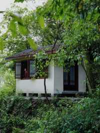 住進森林秘境，邂逅寧靜生活|青城山無境山居