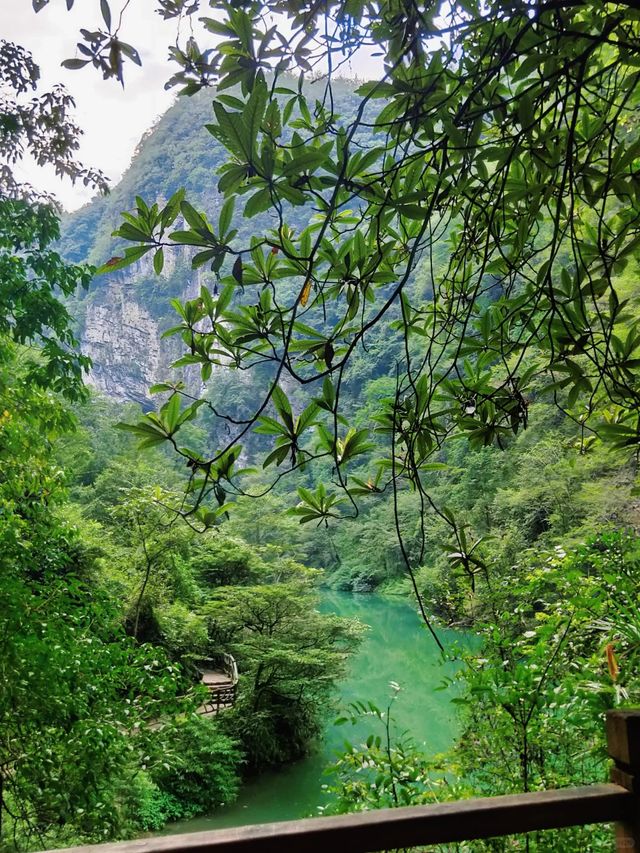 張家界大峽谷
